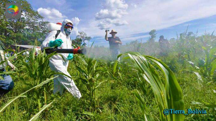 FUMIGADO_PLANTACIONES_AGRO_08