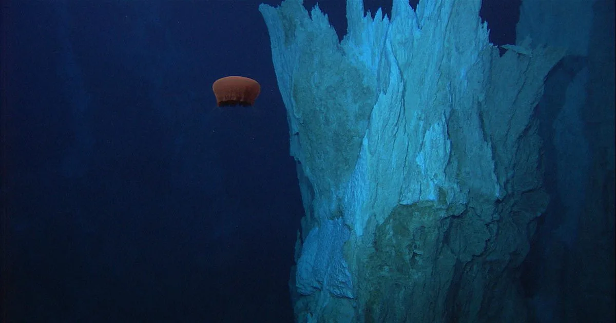 GP0STT5M9_Medium_res-1200x630-c-default