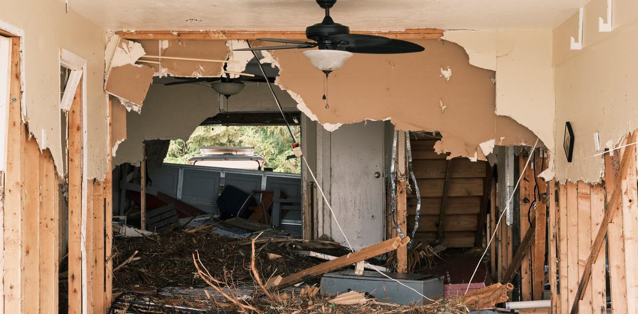 wzFVGDFHr_1256x620__1