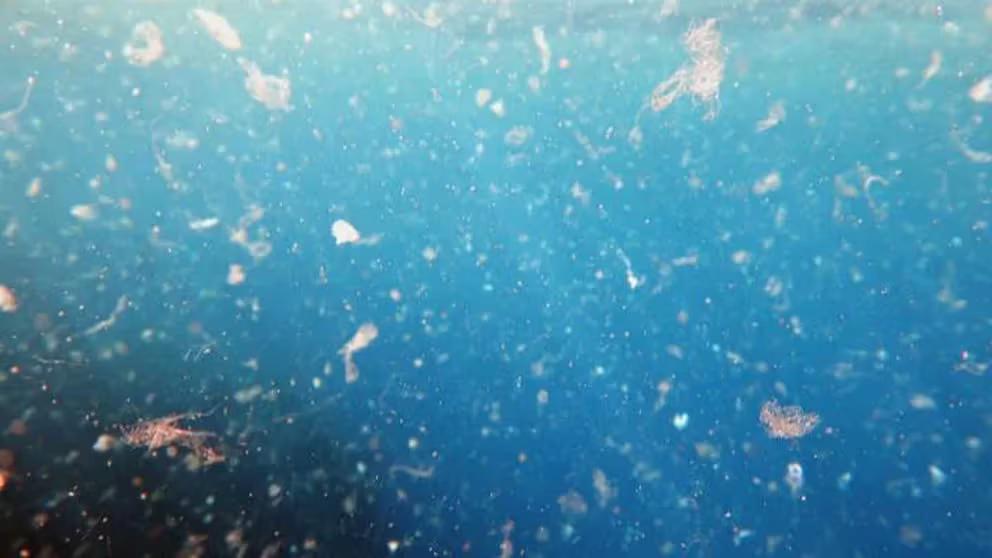 WUSIK25G55DZJPGLVNQM32SBUE