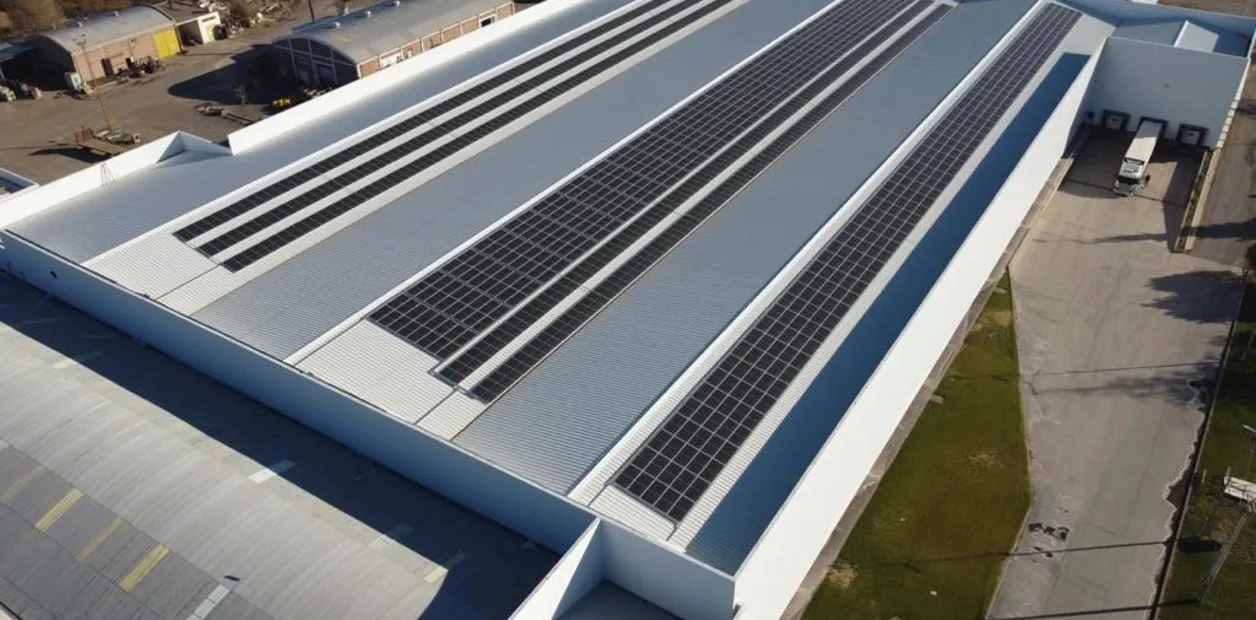 11-7jmINn_1256x620__1