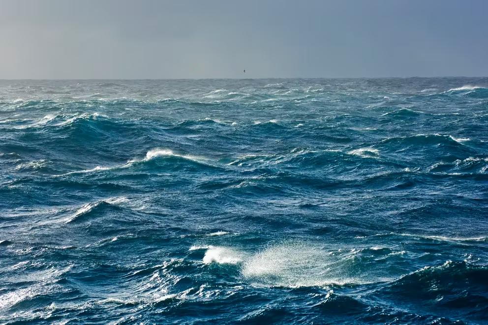 FPFTQHCLCBCCJOI2RQD23WDG4U