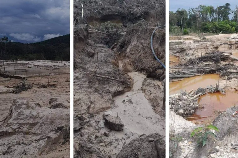 cobertura-collage-768x512