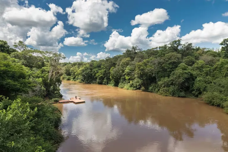 selva-misionera-con-su-monte-DPE5YO5QYNBVDFDHXSR6ZZQYJQ