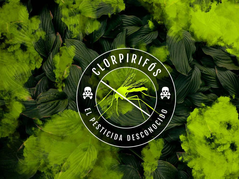 la-comision-europea-prohibe-el-clorpirifos-el-pesticida-mas-usado-en-espana