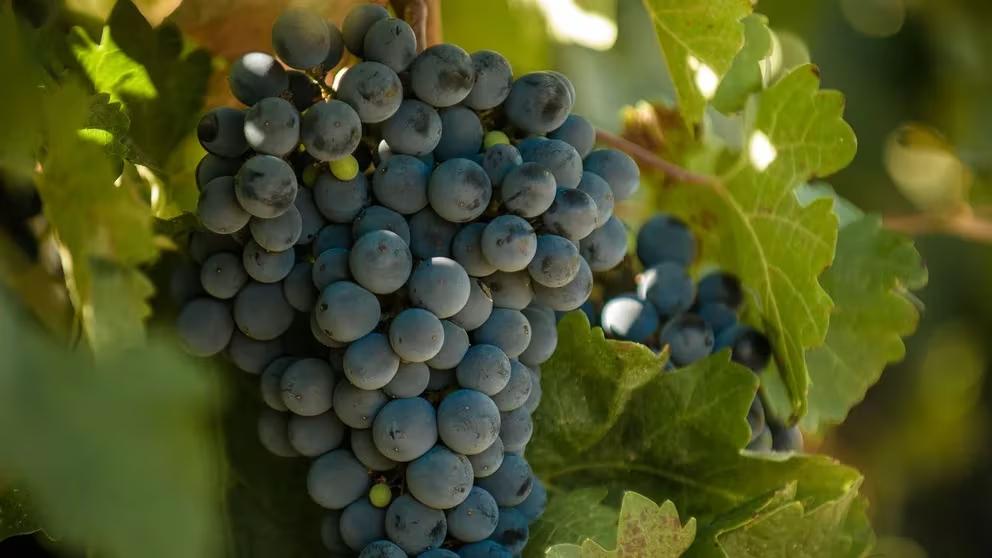 76HBELEFU5E45KR5ZRA3QCQ4SA