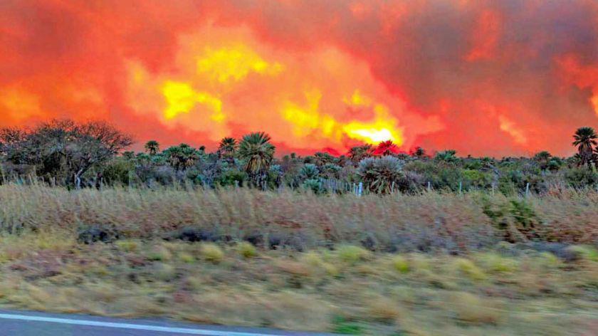 20200912incendiofuegocedocg-1015180