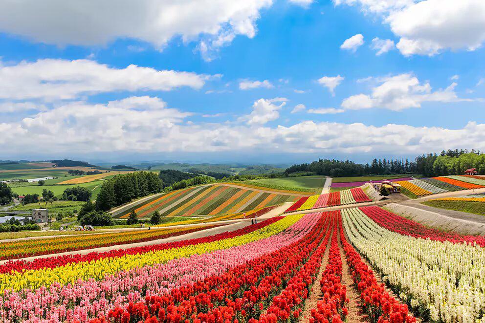 ND3B34CCBJDYFGNAOBEAF7KQUA