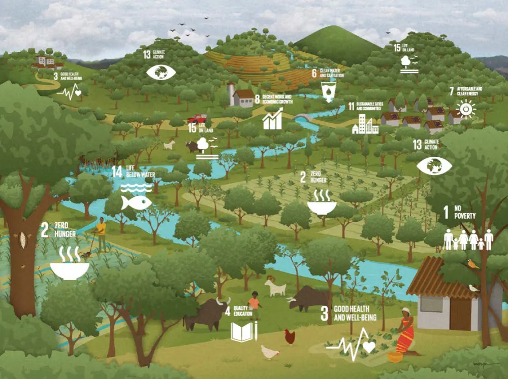 RestauracionGeneration