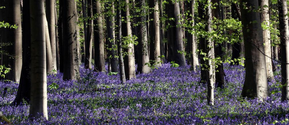 large_A98pF_j7b2iizyE9OX7P6nr7QeRQBRrHCXmWIm4UaH8