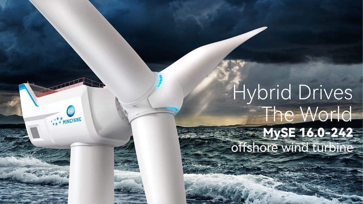 MySE-16.0-242-1