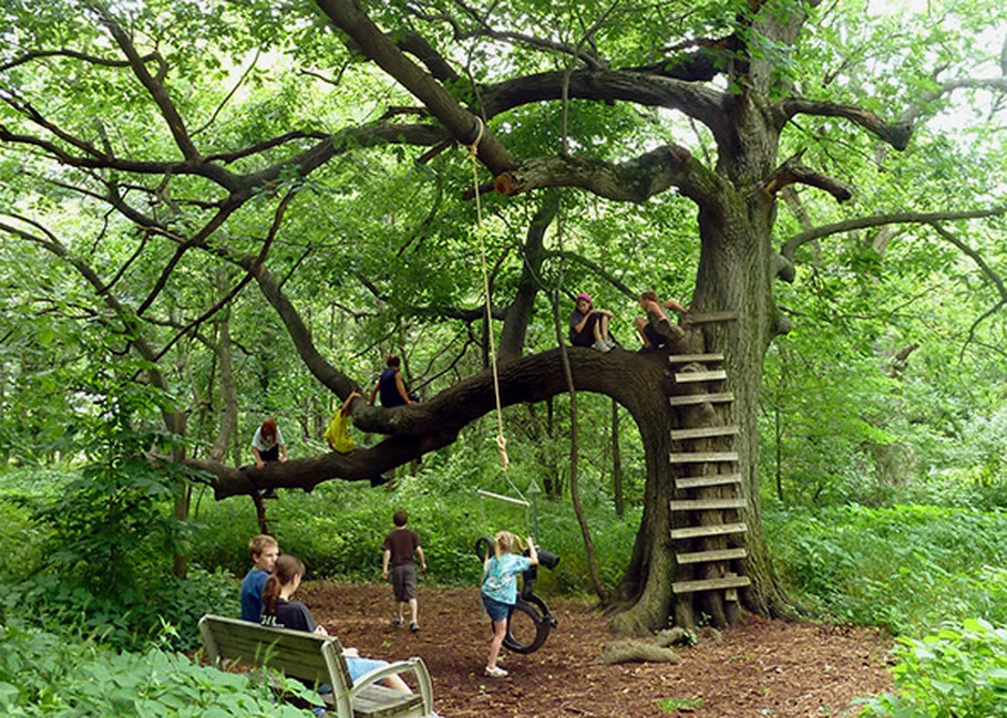 Arboles