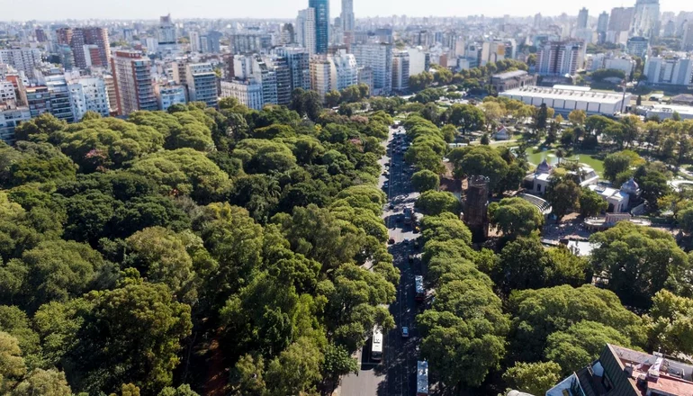Arboles/Ciudad/Espacio Verde