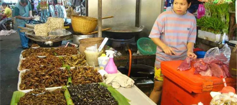 ACC5QCZHUFAOFA24A6P6TO2NF4