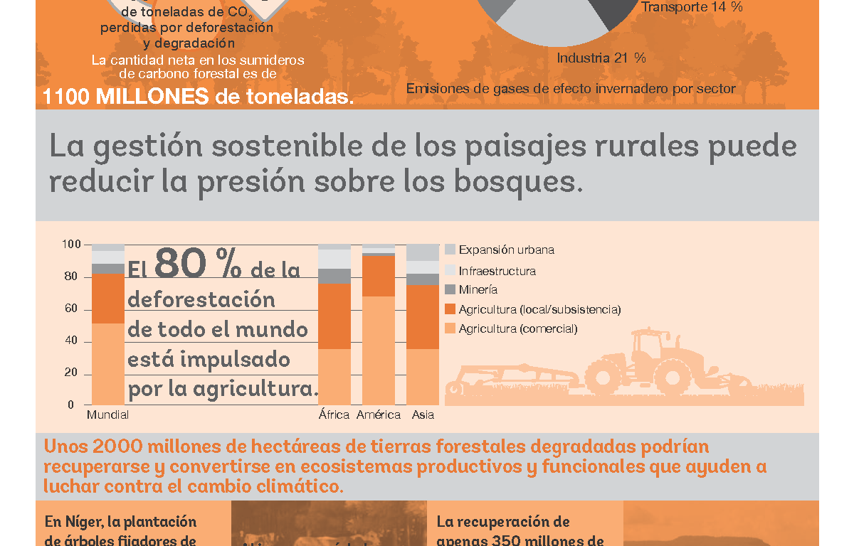 forests_climatechange_new-spanish