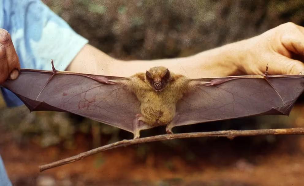 55JUELWDAZHX5LKQGEHC62DLHI