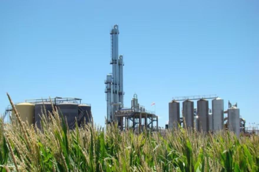 la-planta-de-XKDUXWXHIFE2XPIVPIATANMZKI