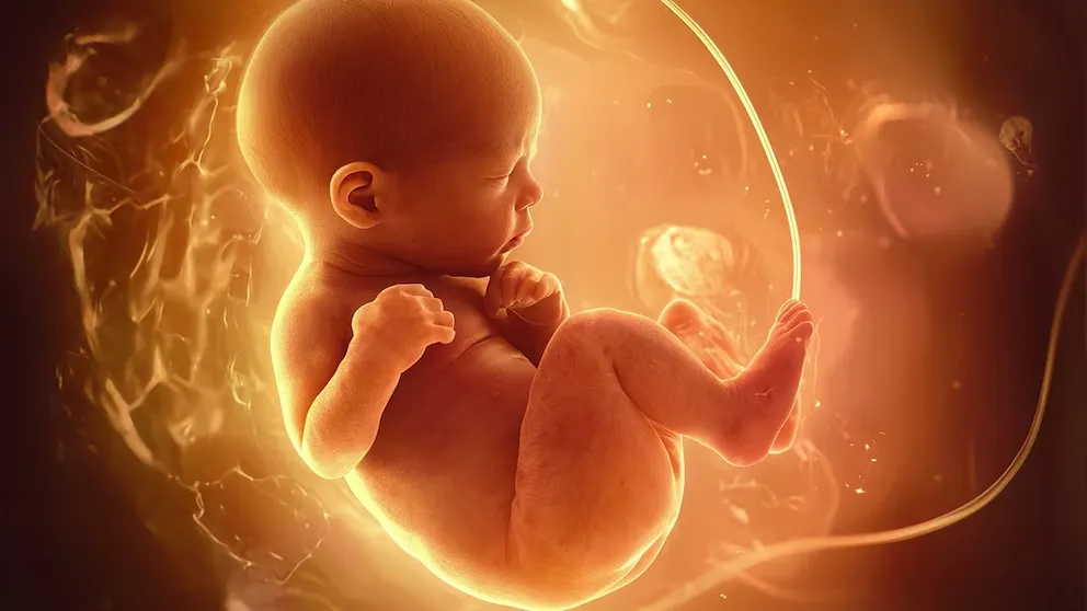 VLKHVOZ72FCKFCBK4KGF57CU5M