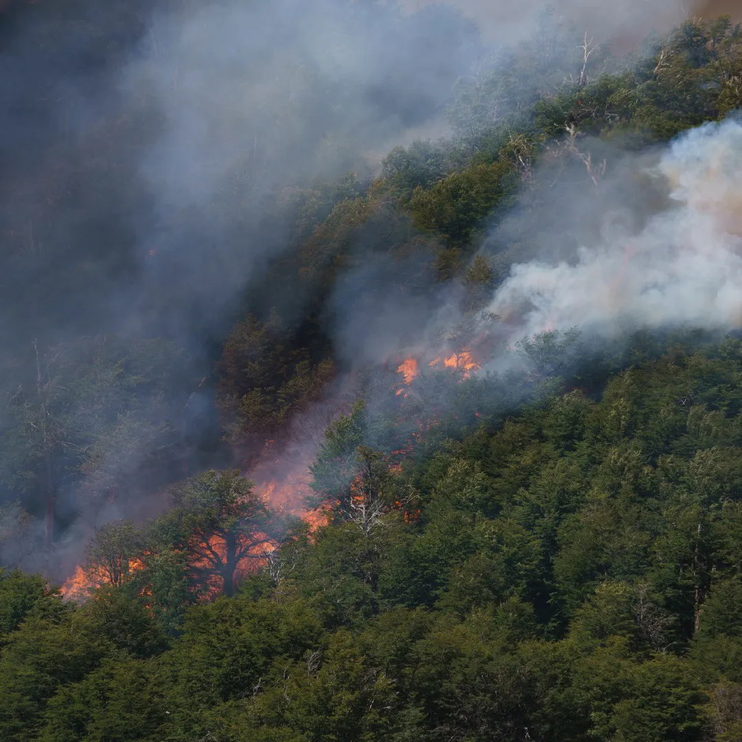 481961154_1084028073766473_7255244950123797135_n