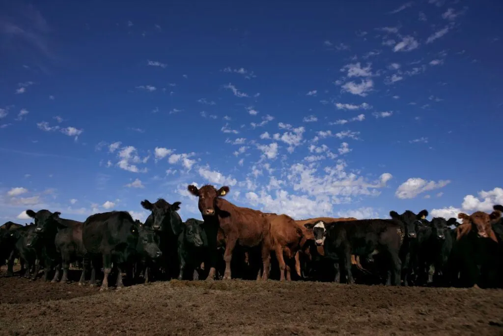 crisis_climatica-cuasas_soluciones-salida-06-1024x683