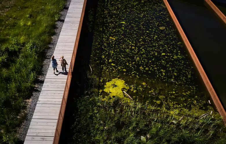 la-vegetacion-fue-adaptada-a-las-condiciones-VA2YB34OVRHUBNS5AB3O2EPXTM