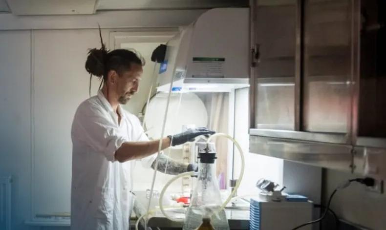 emi-hines-conijpg (1)