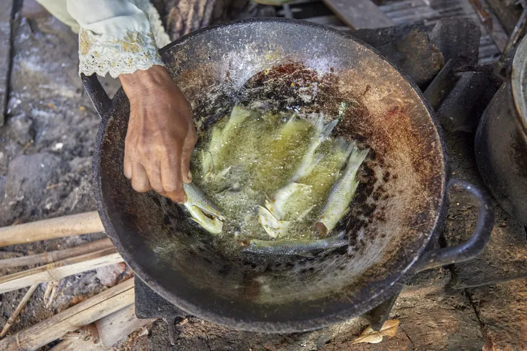 nationalgeographic2805925