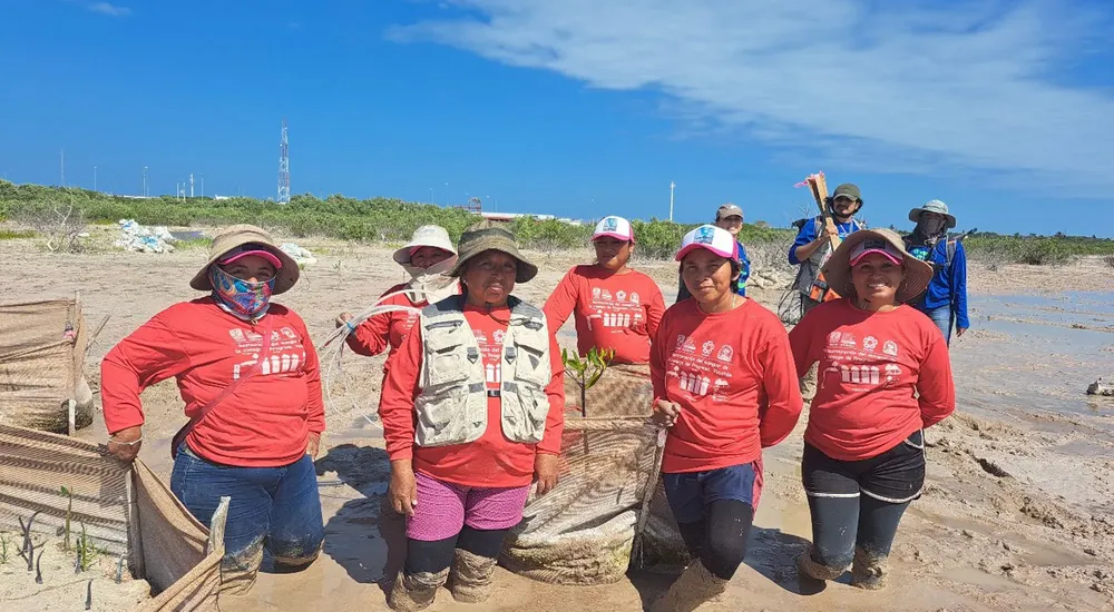 chelemeras_guardianas_del_manglar