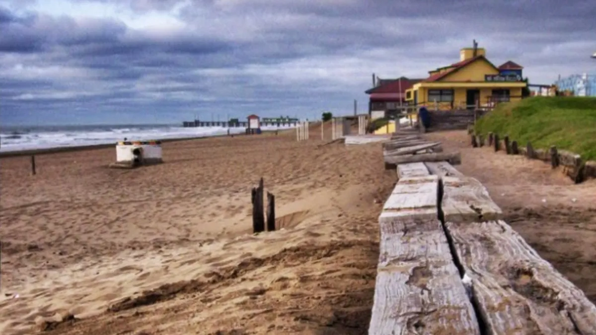 befunky-collage-2023-11-29t182715982jpg