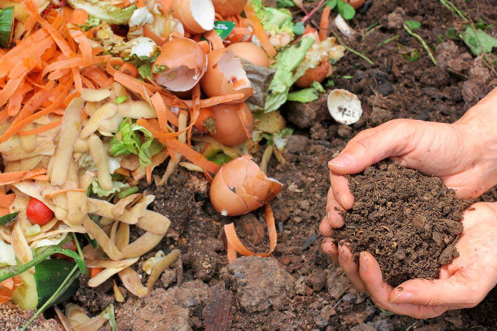 cascara-huevo-compost