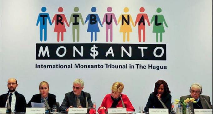 Monsanto-LaHaya