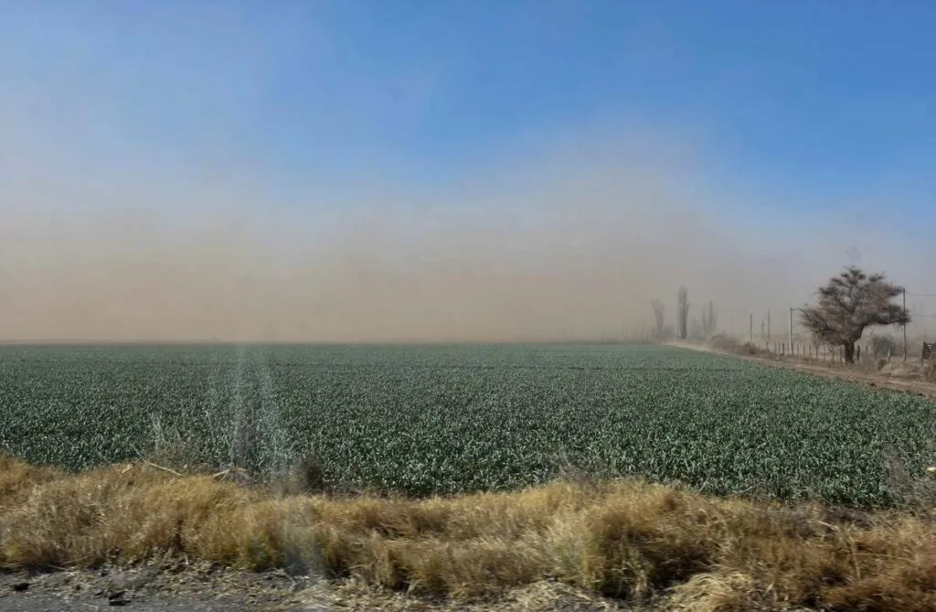 crisis_climatica-cuasas_soluciones-salida0-04-1024x669