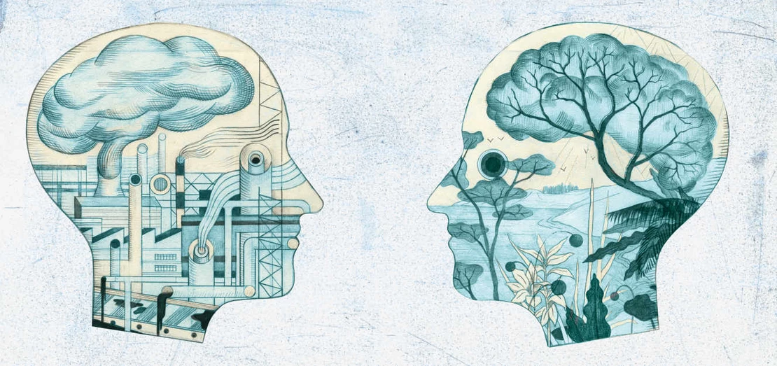 11c77a_a421c031bdca4f65a44f0c2274272ae8_mv2