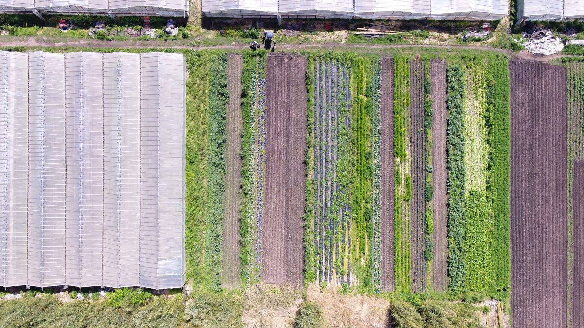 DJI_0021-1200x675