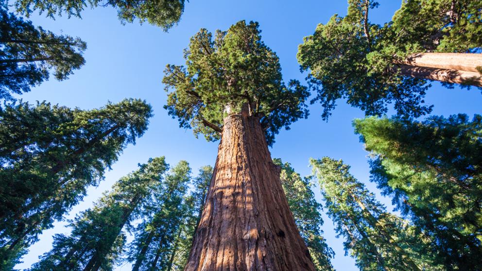 img_jelcacho_20161114-122314_imagenes_lv_getty_istock_35012598_small-kYWC-U463293114197DEB-992x558@LaVanguardia-Web