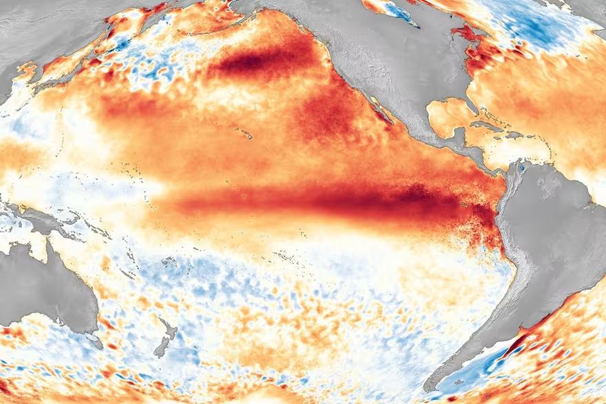 asi-se-ve-el-calentamiento-del-agua-en-el-C67UWB32HJES7AIQN6PYBPMXEY