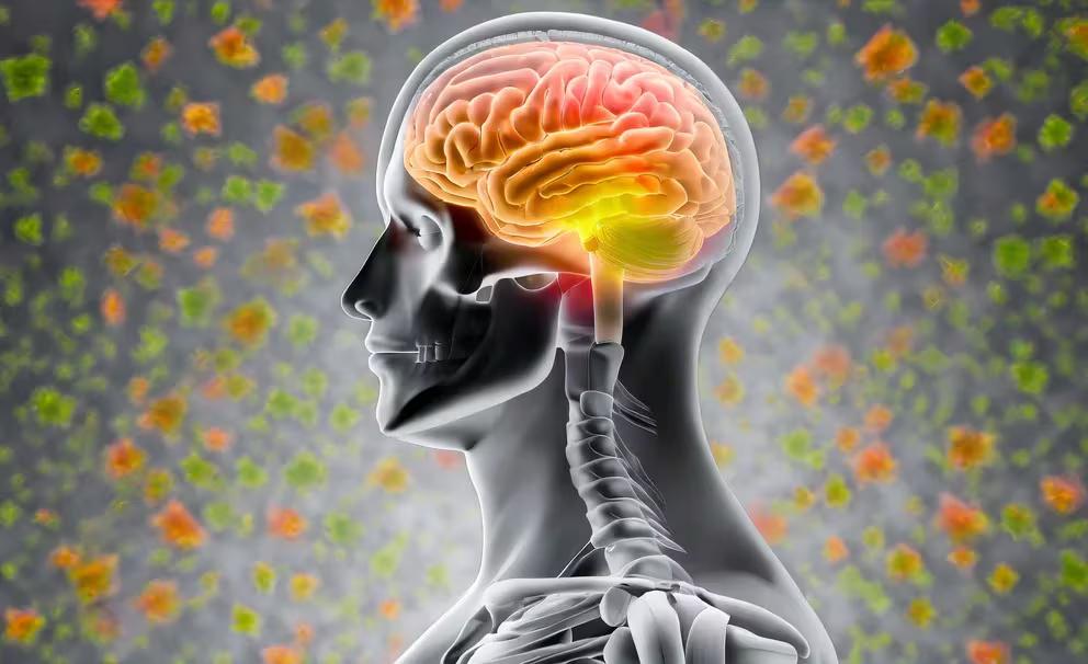 NQVBWMRKT5CIPNZZYS7ZVJ4HZE