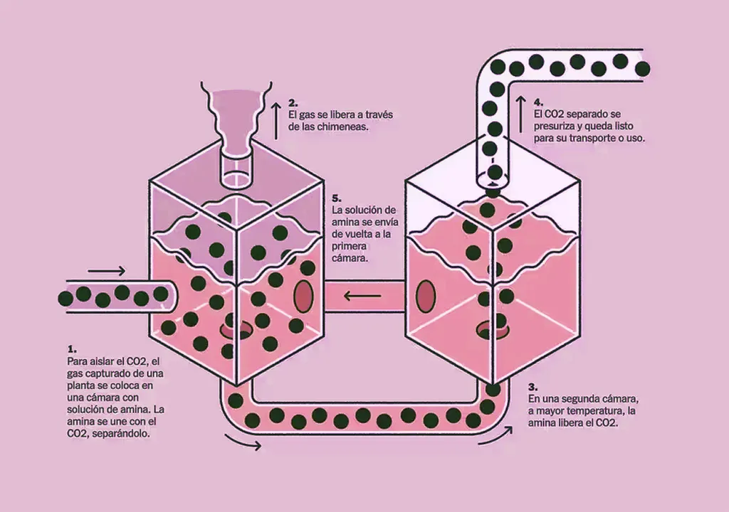 captura-de-carbono-amigable-con-el-ambiente-el-futuro-de-la-lucha-climatica-1709595107471_1024