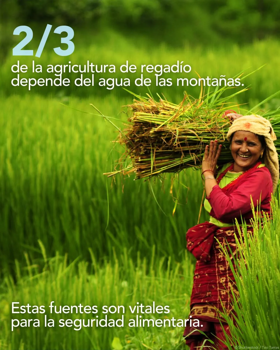 489954244_1233526474804449_1586027405554614262_n