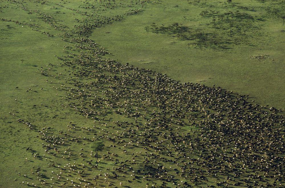 nationalgeographic18506-min_3
