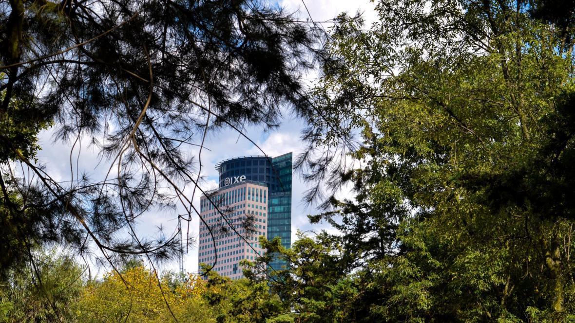 edificio/arboles