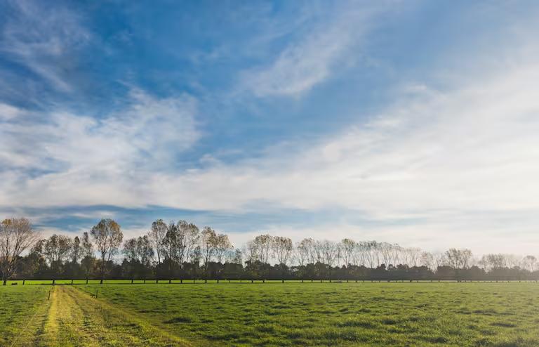 destacan-la-participacion-de-la-argentina-en-las-AC7FTWCV6NFVFGGIGEJGW5SFBE