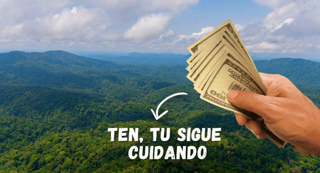 por-cuidar-los-bosques_00000-1024x555