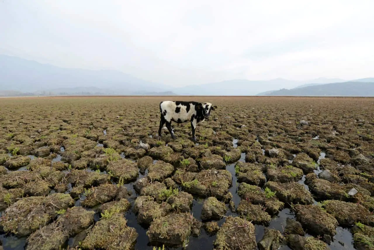 cambio-climatico-1280x854