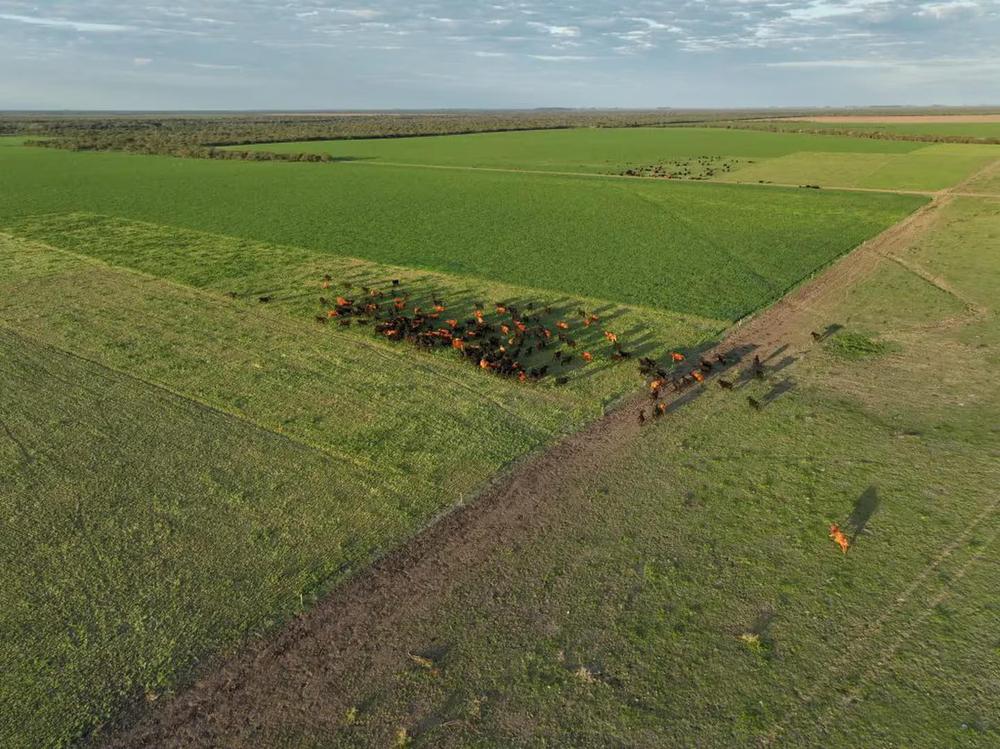 5N3DZFKTDNDB7D46LI7IJPV6VI