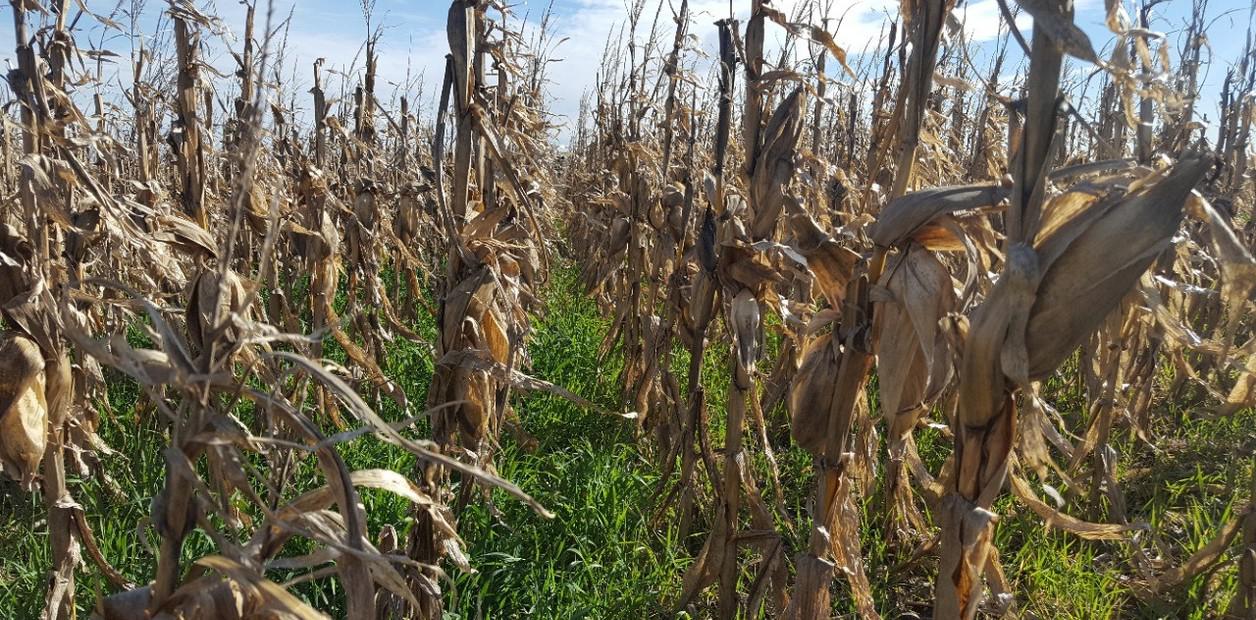 0_6WoSdlF_1256x620__1