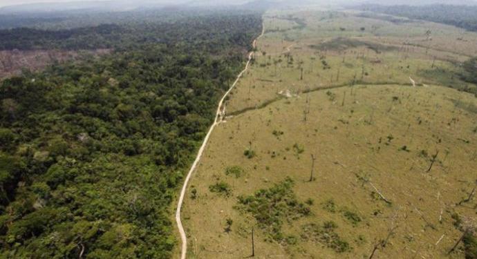 libre-de-deforestacion-690x375