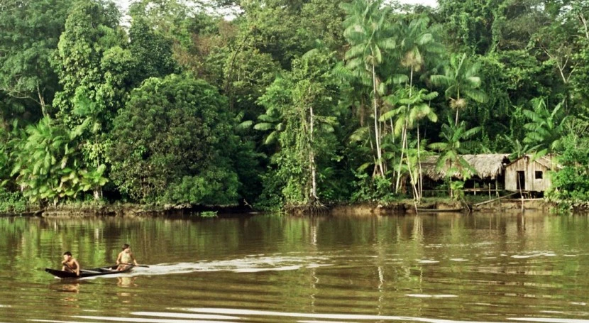 Bosque tropical/Amazonas/Rios
