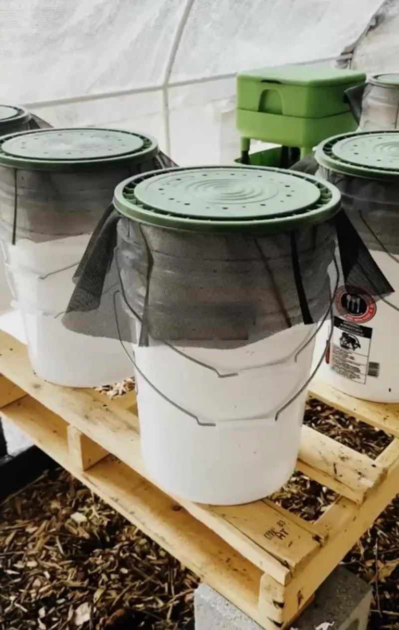 Torre-de-lombrices-1