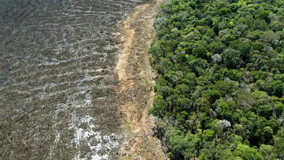 deforestacion-en-el-amazonas-20211015-1246841